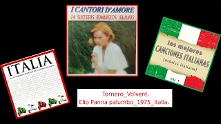 Tornero - Elio Panna Palumbo 1976 Italia