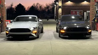 700HP Mustang Backroad POV Drive