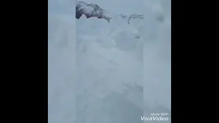 Зимник-2021, Якутия, Мужики пробивают дорогу