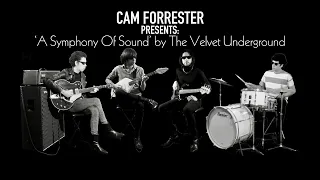 'A Symphony Of Sound' by The Velvet Underground - Cam Forrester