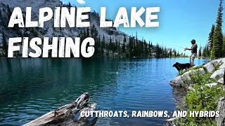 Alpine Fishing Idaho | Catching Cutthroats, Rainbows, and Hybrids in the High Country