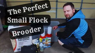 The BEST Chick Brooder Set Up For A Small Flock | Raising Baby Chicks