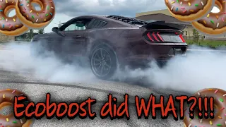 DONUTS, BURNOUTS AND FIREWORKS!!! Ecoboost did WHAT?!!!