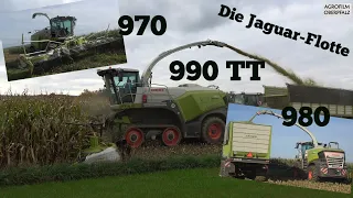 970, 980, 990 TT - Die Jaguar-Flotte auf Maisjagd - Lohnunternehmen Zintl - SOUND