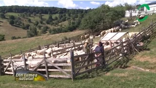 Emisiunea "Din Lumea Satului" - 11 octombrie 2015