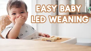 WHAT MY 10 MONTH OLD EATS IN A DAY | Super Easy Baby Led Weaning Meal Ideas