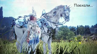 Black Desert фарм серебра ущелье разбойников