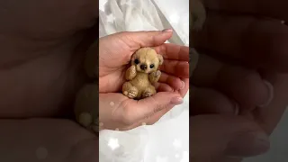 Aww, it's so cute tiktok tsminibears