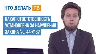 Какая ответственность установлена за нарушения Закона № 44-ФЗ?