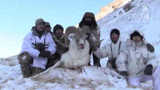 Kyrgyzstan Tian Shan and Hume argali trailer