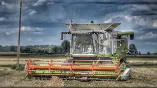 ✔️Zgubione piwo na polu?!Lexionem 11km/h?!Czyli żniwa 2023//Agro Renault Team GR Woźniecki✔️