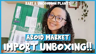 Aroid Market IMPORT UNBOXING | Did the plants make it??