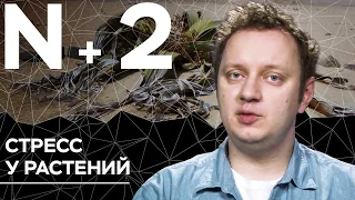 Андрей Коняев объясняет, как растения кричат о помощи // N+2