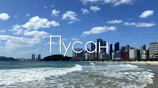 🇰🇷 Пусан Vlog. Прибрежный трамвайчик. Песочная буря. Остров котов -  Путешествие по Корее 2022 롬