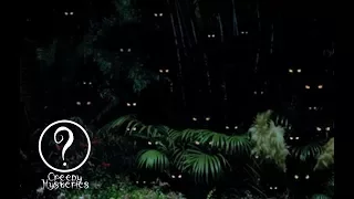 Top 5 Strange Cryptids Of The Amazon Rainforest