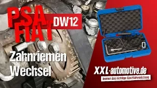 Zahnriemen Wechsel mit Spezial-Werkzeug von Stahlmaxx - PSA Citroen Peugeot Fiat DW12 2.2 HDI