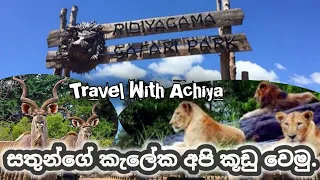 Ridiyagama Safari Park  | Safari sl | Travel With Achiya #srilanka #travel #safari #park #ridiyagama