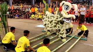 Sabah Style Lion Dance (Bamboo Dance and Sumazau)