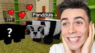 Szukam NOWEJ PANDY w Minecraft!