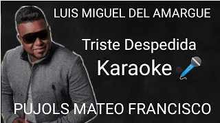 Luis Miguel del amargue Triste Despedida karaoke