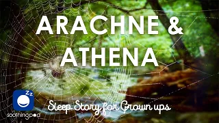 Bedtime Sleep Stories | 🕷 Arachne and Athena 👑 | Greek Mythology Stories | Sleep Story for Grown Ups