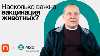 Ветеринарная вакцинология / Владимир Макаров на ПостНауке