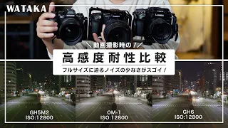 GH6 vs OM-1 vs GH5M2の動画撮影時の高感度耐性比較！フルサイズに迫るノイズの少なさがスゴイ！そして撮影していたら通報されそうになってチャンネル登録してもらえた…！