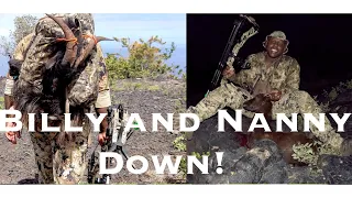 2 Goat's DOWN-Hawaii Archery Hunt...SEVR broadhead almost decapitates goat!!!