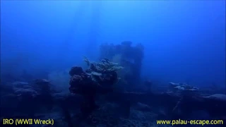 IRO, Blue Holes, Blue Corner | Palau Escape Josephgucci