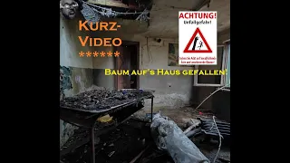 Lost Place: Kleines Forsthaus (?) am Waldrand *KURZVIDEO*