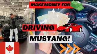 HOW I GET PAID 💰 FOR DRIVING 🐎MUSTANG IN CANADA?🇨🇦😍 #mustang #canada