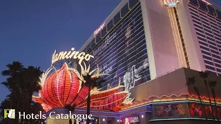 Flamingo Las Vegas Hotel - Caesars Entertainment - Las Vegas Hotel Tour