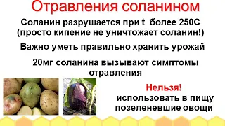 Профилактика немикробных отравлений (отравление соланином))