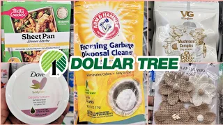 BROWSE WITH ME|DOLLAR TREE| NEW FINDS!