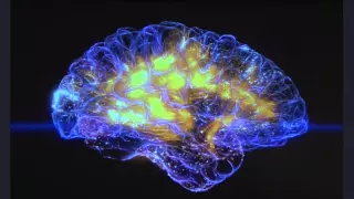 Gaming and the brain