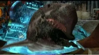 Deep Blue Sea Shark Attack Scene FISH FOOD