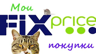 🐱 FIX PRICE РАСПАКОВКА🎁ПОКУПОК ОБЗОР ФИКС ПРАЙС ОТ КОТА ТИГРЫ ❤️ PET CAT