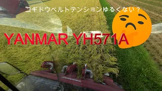 YANMAR YH571A コシヒカリ収穫最終日　コンバイン　農業