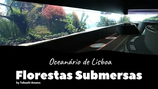 Oceanário de Lisboa - Florestas Submersas by TAKASHI AMANO com 160 mil litros de água doce