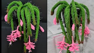 How to  crochet Rattail Cactus