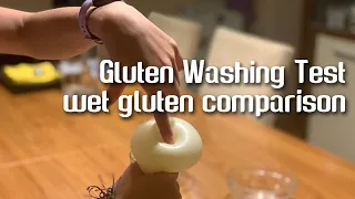 Gluten Washing Test. Wet Gluten Comparison. | by JoyRideCoffee