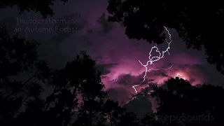 Thunderstorm in Autumn Forest – 10 Hours of Crickets, Rain and Thunder – Sleep Sound