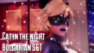 Cat In The Night - Bulgarian [S&T] - Miraculous Ladybug