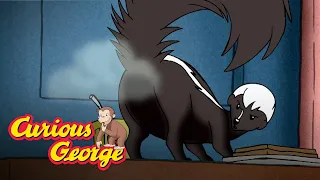 Skunked! 🐵 Curious George 🐵Kids Cartoon 🐵 Kids Movies 🐵Videos for Kids