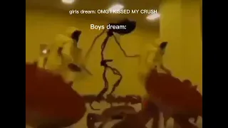 Girls Vs boys dream