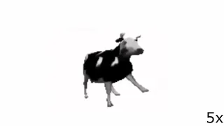 Польская корова на разных скоростях 0,1х...999х (полное видео)!