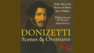 L'ajo nell'imbarazzo, Overture