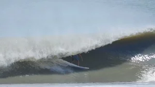 Jesse Hines' Hurricane Hermine Pig Dog Party