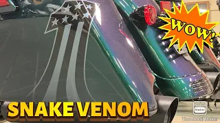 SNAKE VENOM!!!! All new custom paint color from Harley-Davidson this year and it is amazing!!!!!
