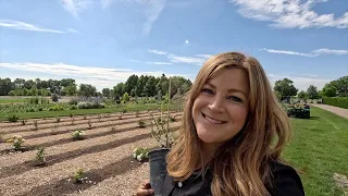 Random Planting Day! 😆🌿👍 // Garden Answer